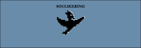 Soulseeking